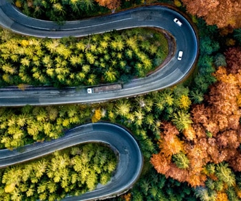 The buildingSMART International Annual Report 2024